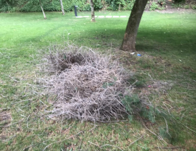 Gestión de nidos (Cotorras)